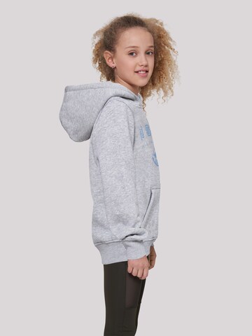 F4NT4STIC Sweatshirt 'Go Sylt Knut & Jan Hamburg' in Grey