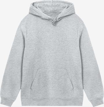 Pull-over 'Shibui Series Japan Streetstyle' F4NT4STIC en gris : devant