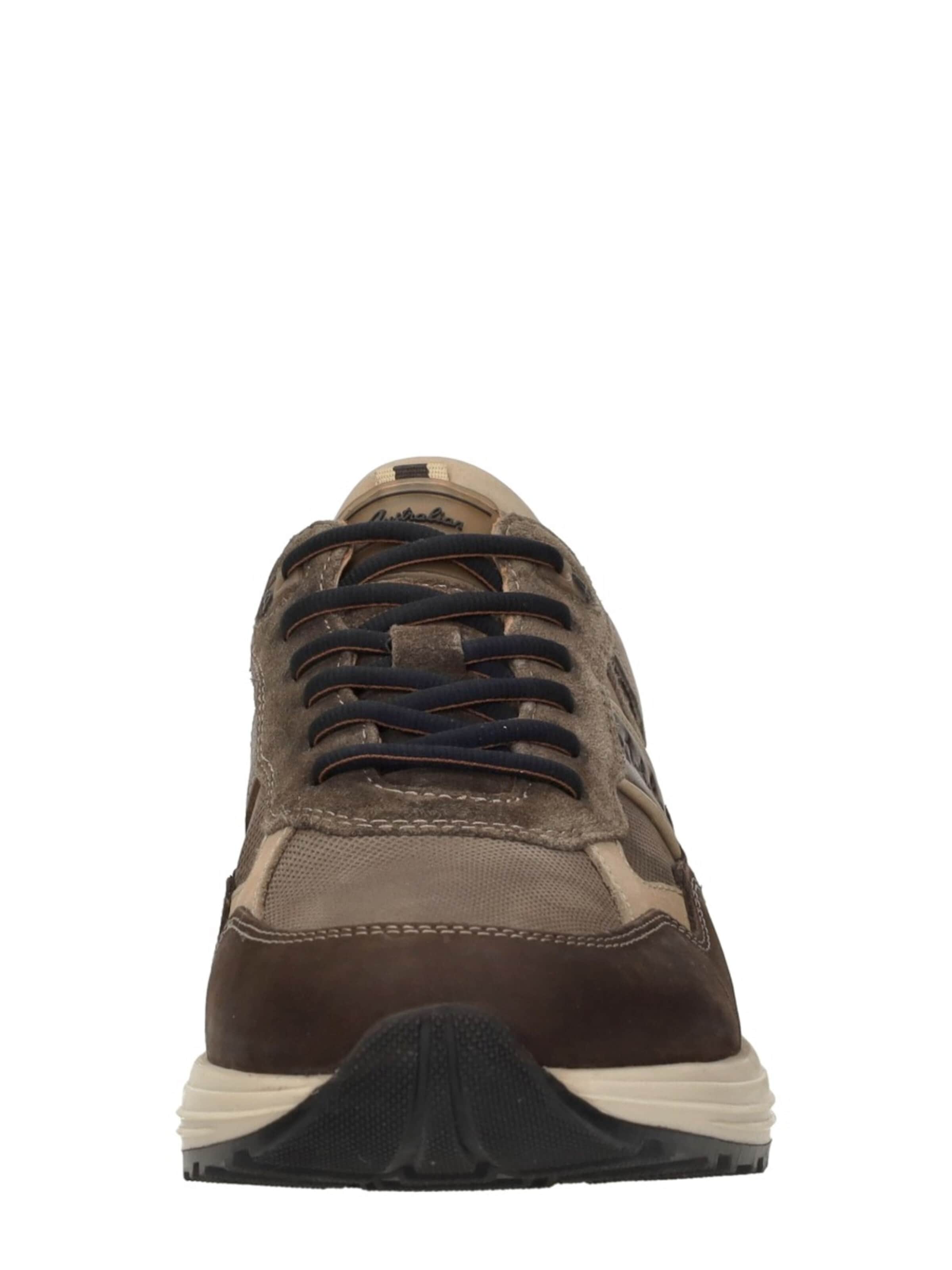 Australian Platform trainers 'Grants' in Brown