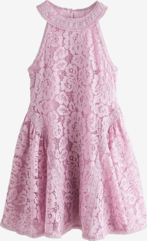 Baker by Ted Baker Kleid in Pink: Vorderseite