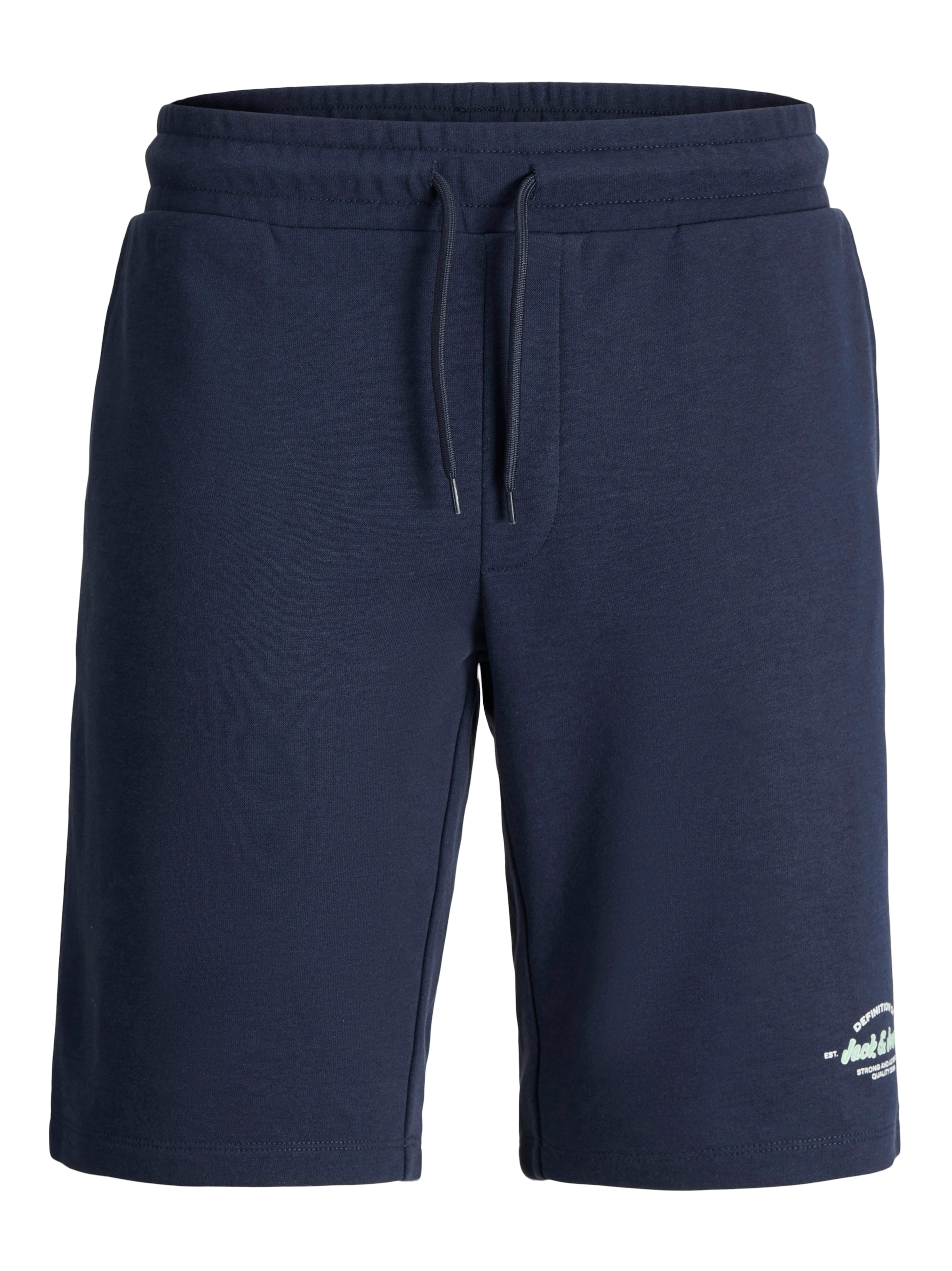 Jack & Jones Plus Regular Pants in Blue: front