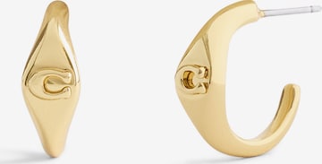 Cercei de la COACH pe auriu: față