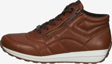 ARA High-Top Sneakers in Brown