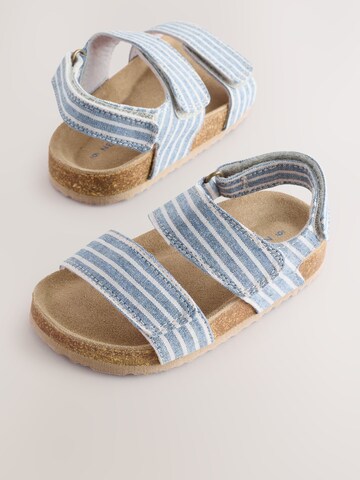 Next Open shoes in Blue