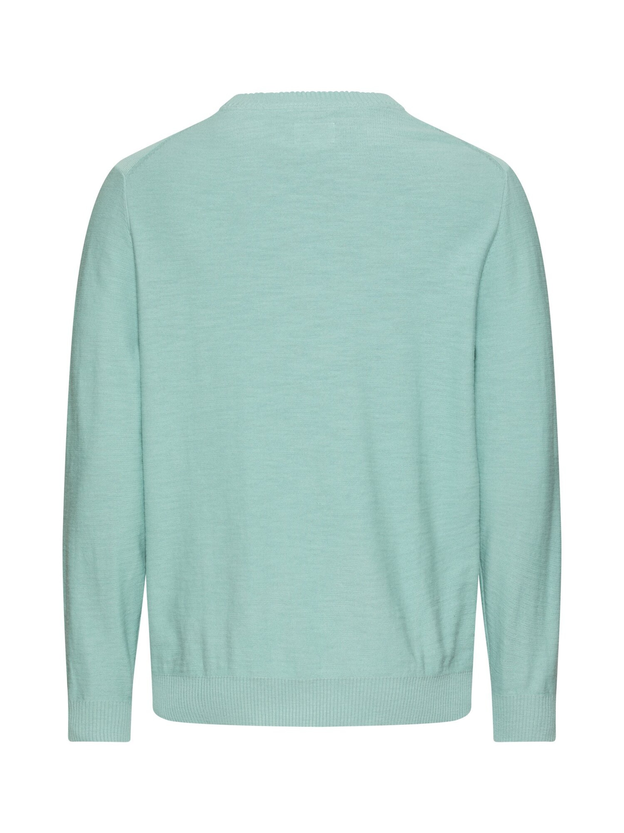 CAMEL ACTIVE Pullover in Grün