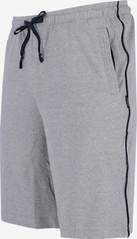 Regular Pantalon HAJO en gris
