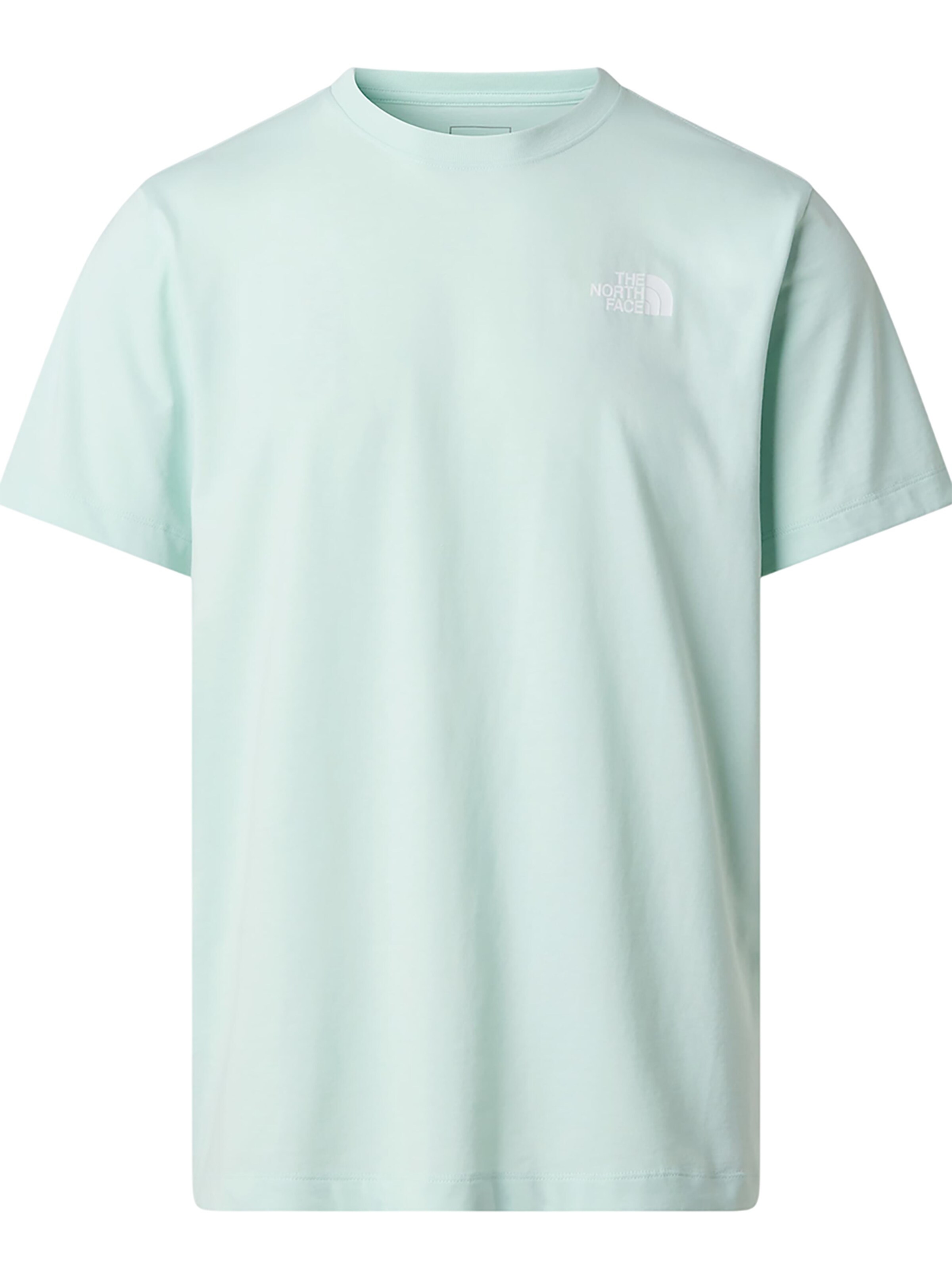 THE NORTH FACE Shirt 'Evolution Box NSE Regular' in Blue