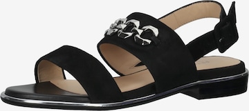 PETER KAISER Sandals in Black: front