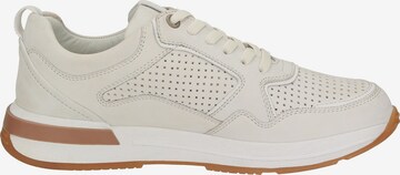 SIOUX Sneakers ' Rojaro-716 ' in Beige