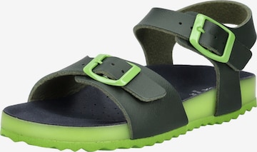 Sandalo di GEOX in verde: frontale