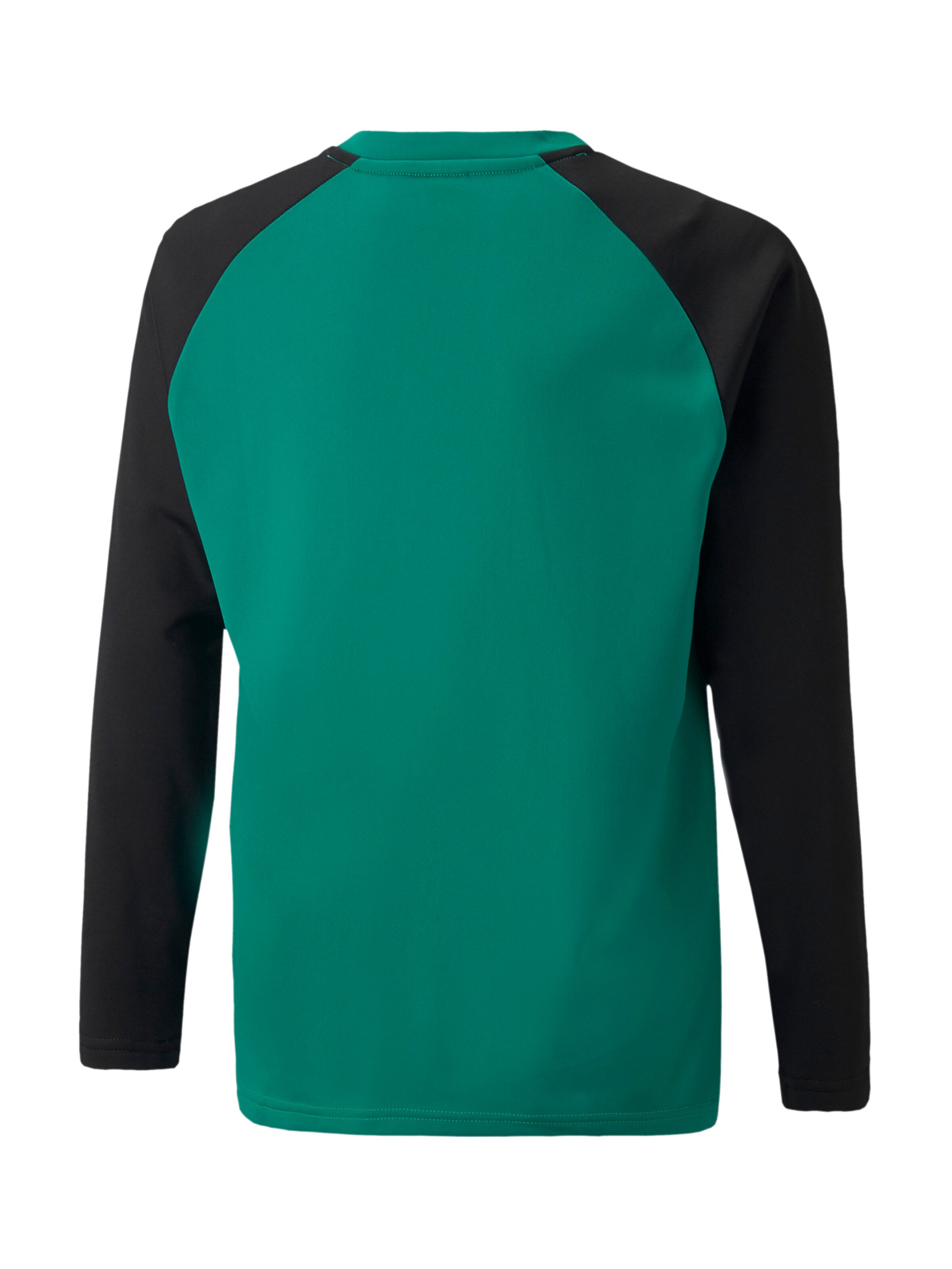 PUMA Sportsweatshirt 'TeamLiga' in Grün