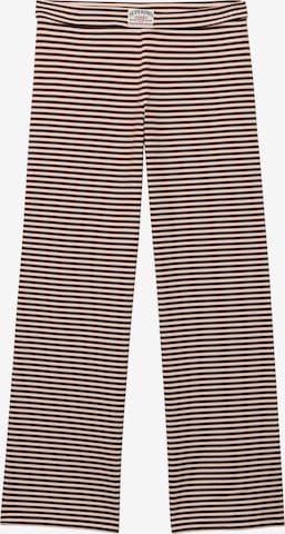 Pantalon 'Athletic Essentials' Superdry & Co en marron : devant