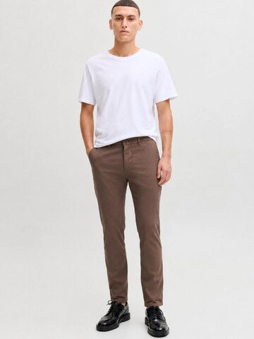 JACK & JONES Regular Chino trousers '12258298' in Brown
