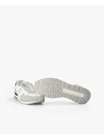 Scalpers Nizke superge ' ' | modra barva