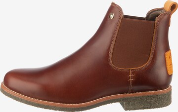 PANAMA JACK Chelsea Boots 'Giordana Igloo' in Braun