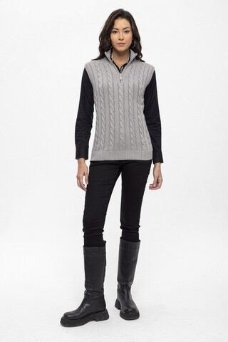 Pull-over Felix Hardy en gris