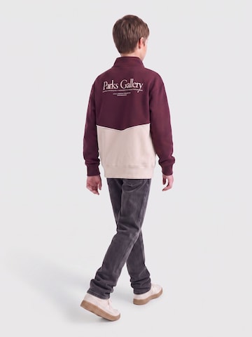 Only & Sons Junior Sweatshirt 'CERES' in Beige