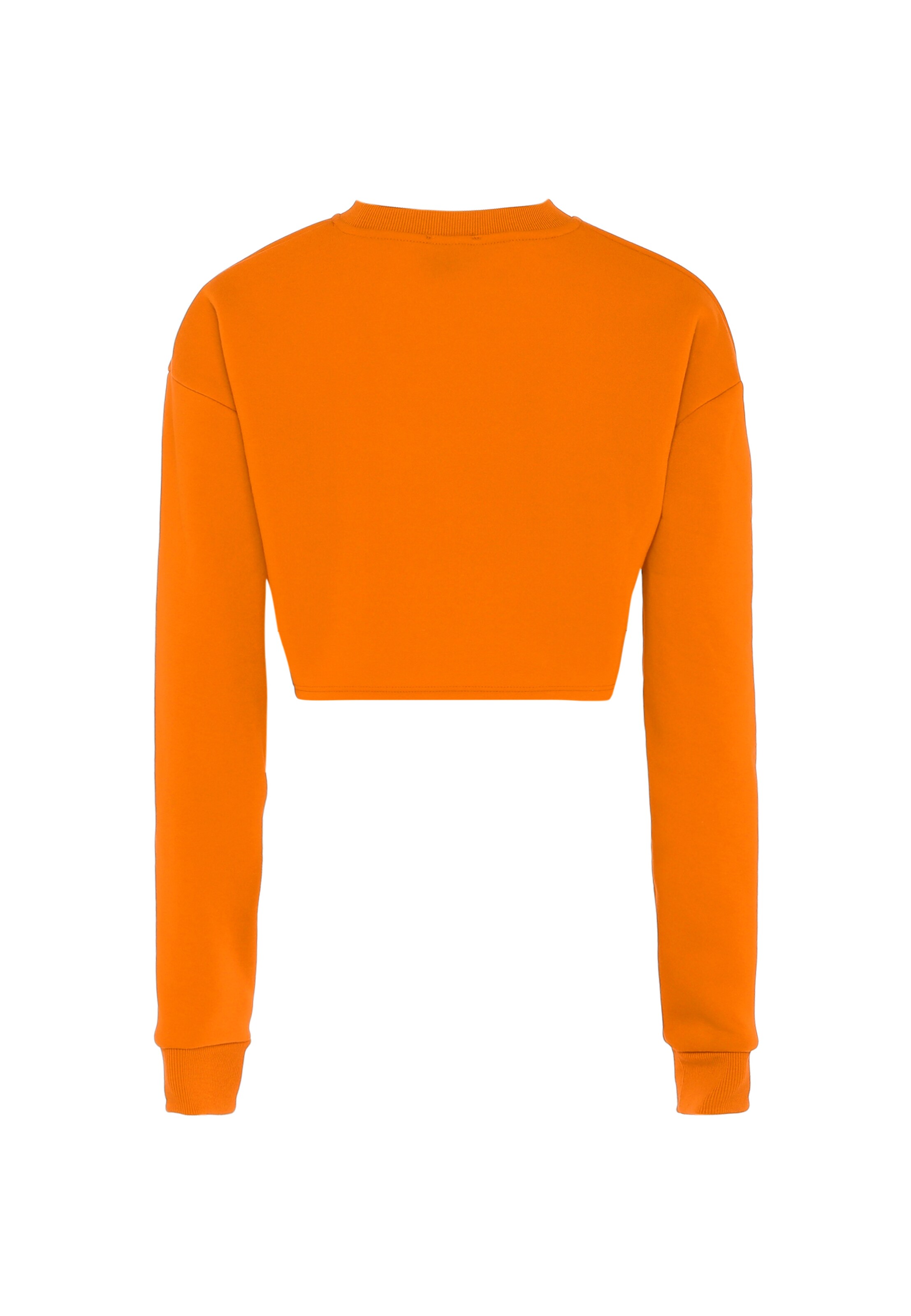 hoona Sweatshirt in Oranje