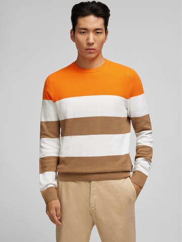 HECHTER PARIS Sweater in Brown: front