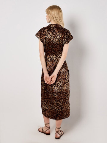 Robe ' ' Apricot en marron