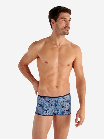 Boxers ' Barrett ' HOM en bleu : devant