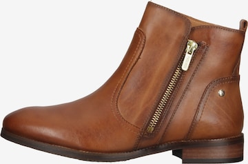 Bottines PIKOLINOS en marron