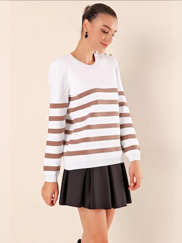 Bigdart Trui in Bruin