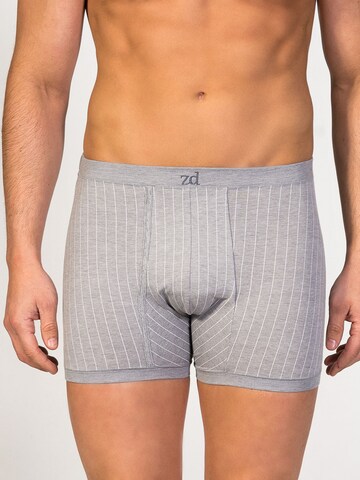 zd ZERO DEFECTS Boxershorts 'Helios prinstriped fly front boxer' in Grau: Vorderseite