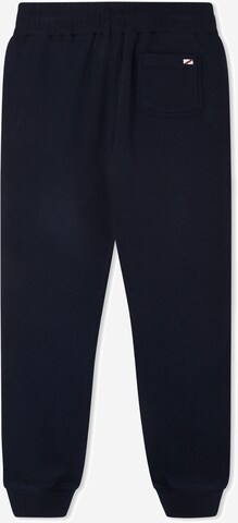 Pepe Jeans Loose fit Pants in Blue