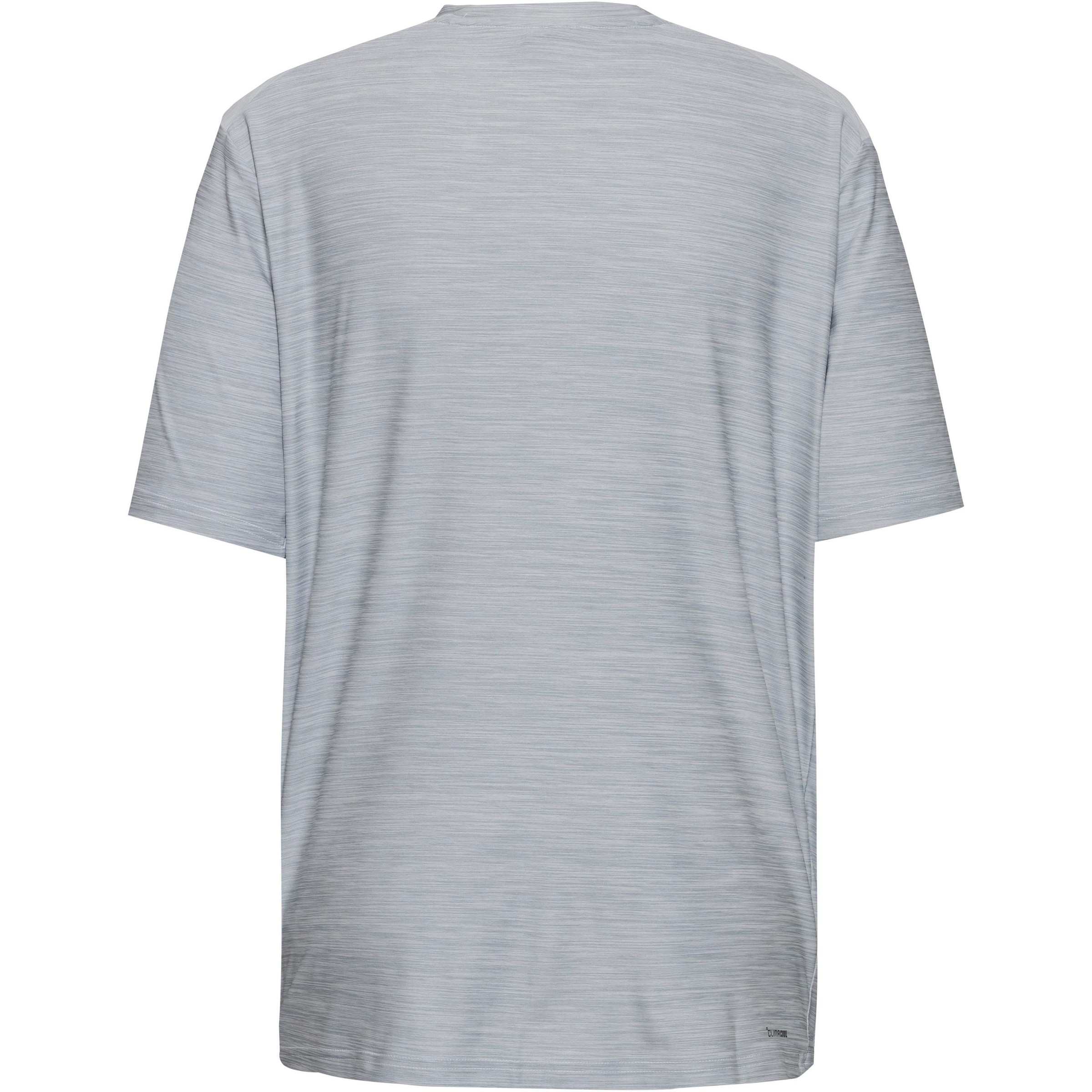 ADIDAS PERFORMANCE Performance Shirt in Grey