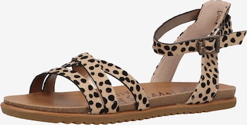 Blowfish Malibu Strap Sandals in Brown: front