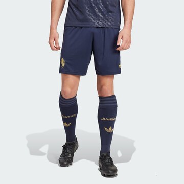 ADIDAS PERFORMANCE Regular Sports trousers 'Juventus 24/25' in Blue: front