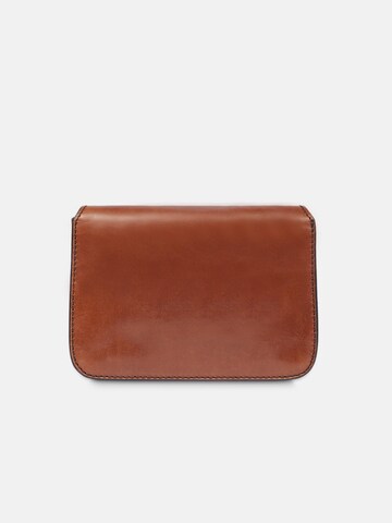 The Bridge Crossbody bag in Brown