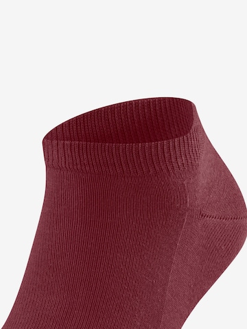 FALKE Socks 'Family' in Red: front