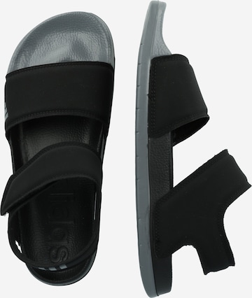 ADIDAS SPORTSWEAR Пляжная обувь/обувь для плавания 'Adilette' в Черный