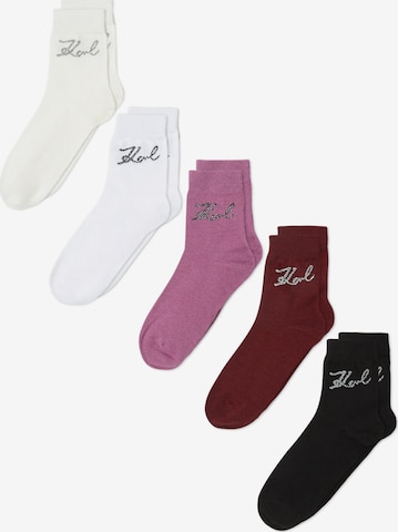 Karl Lagerfeld Sukat värissä beige: etupuoli