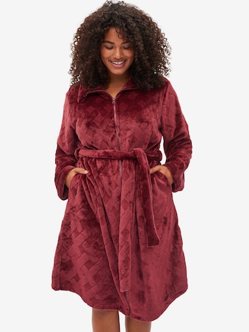 Zizzi Dressing Gown in Red: front