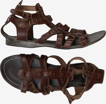 AKIRA Sandals & High-Heeled Sandals in 37 in Brown: front