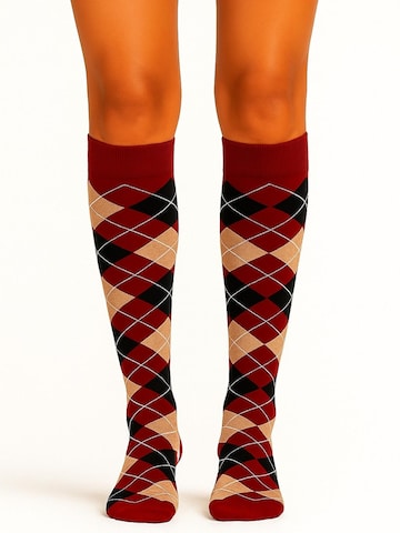 Lycille Knee High Socks in Red: front
