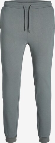 JACK & JONES - Pantalón 'WILL' en gris: frente