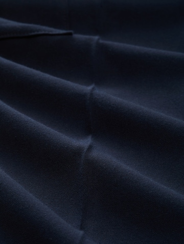 TOM TAILOR Regular Pleated Pants in Blue