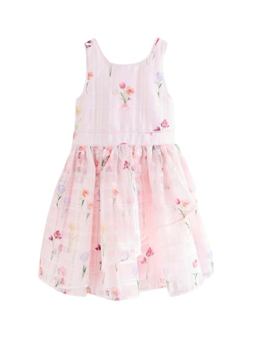 Baker by Ted Baker Kleit, värv roosa: eest vaates