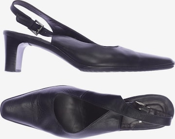 SALAMANDER Sandals & High-Heeled Sandals in 40 in Black: front