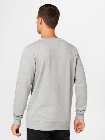GREENBOMB Sweatshirt in Grau