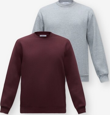 ABOUT YOU Sweatshirt 'Davin' in Grau: Vorderseite
