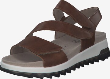 GABOR Strap Sandals 'Florenz 66.742' in Brown: front