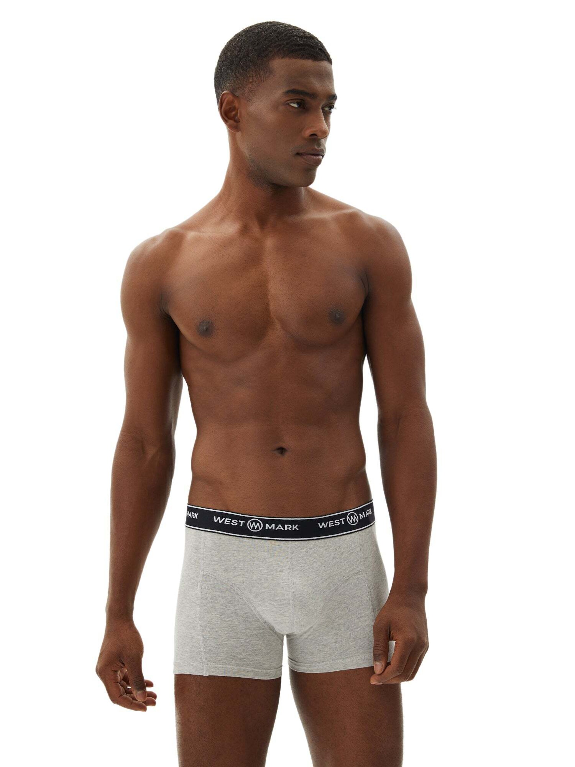 WESTMARK LONDON Boksershorts 'Atlas' i grå