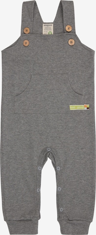 loud + proud Overalls in Grey: front