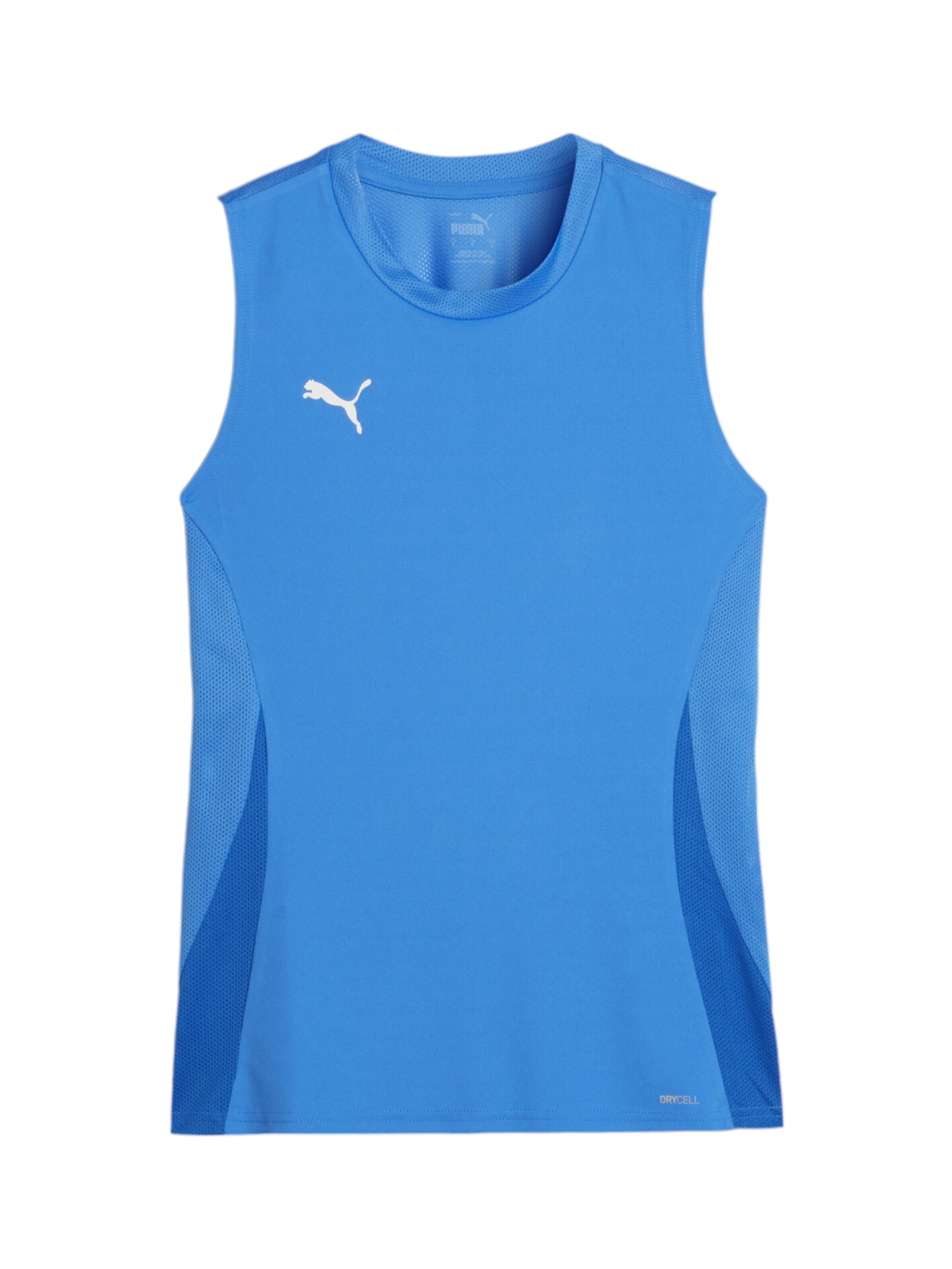 PUMA Αθλητικό τοπ 'teamGOAL' σε μπλε: μπροστά
