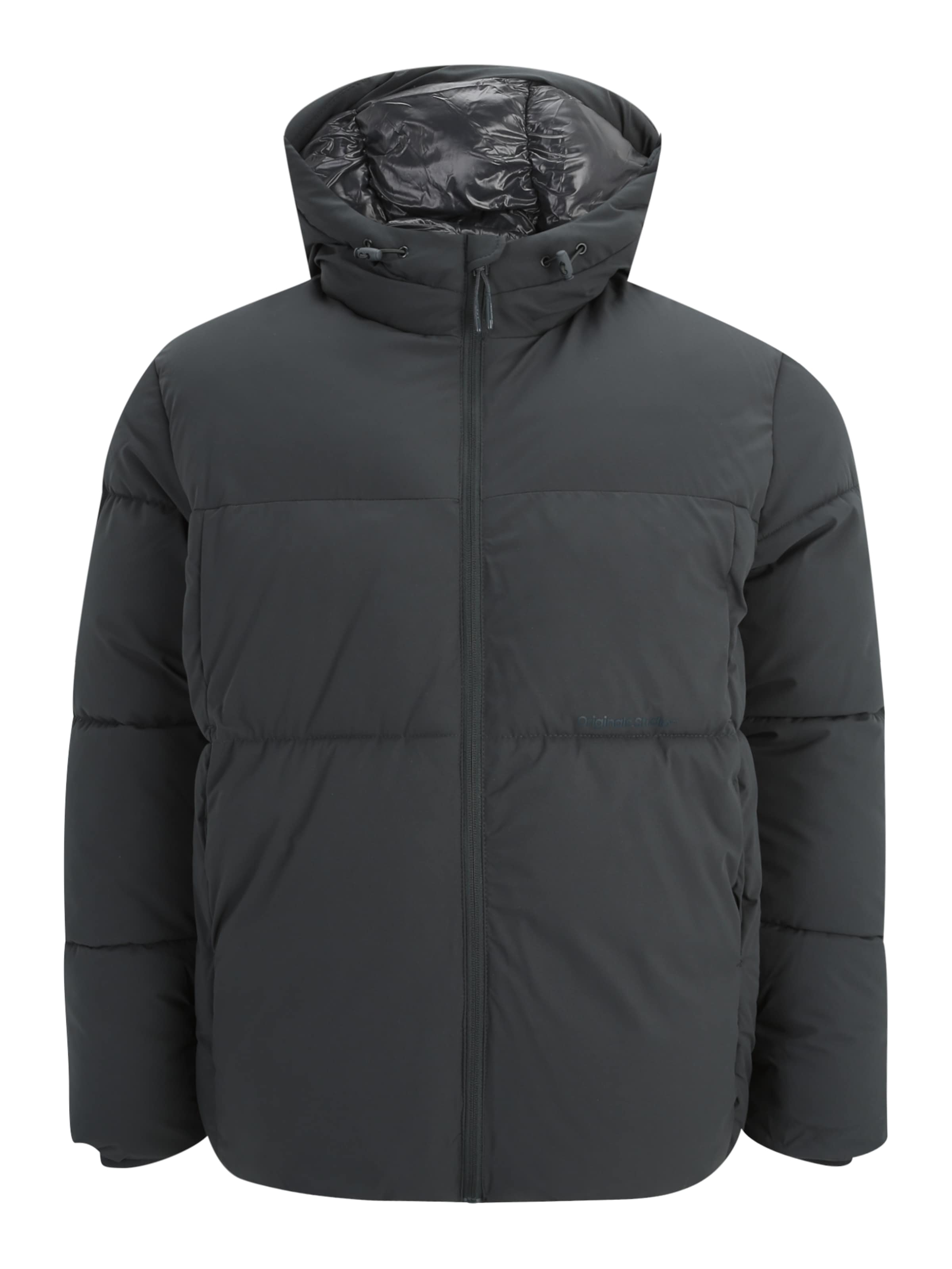 Giacca invernale 'JORVESTERBRO' di Jack & Jones Plus in verde: frontale
